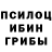 Галлюциногенные грибы Magic Shrooms Mirvays HodjaNurulla